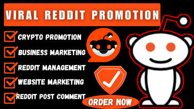 I will do viral Reddit promotion, Reddit ads marketing to boost conversion and sales