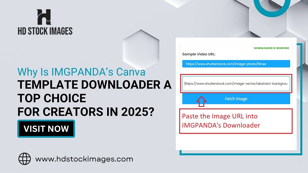 Why Is IMGPANDA’s Canva Template Downloader a Top Choice for Creators in 2025?