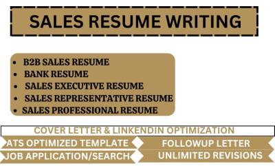 I will write a professional B2B sales resume, bank resume, sales executive resume