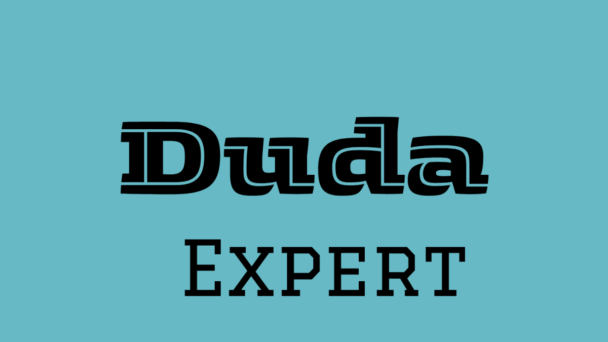 I will design Duda, Showit, Weebly, Hostinger, Odoo Website and Landing Page
