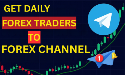 1min Instant Telegram Ads to Get 900K Forex Traders – Telegram Forex Promotion