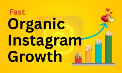 I will grow your Instagram organically with real followers and manual promotion