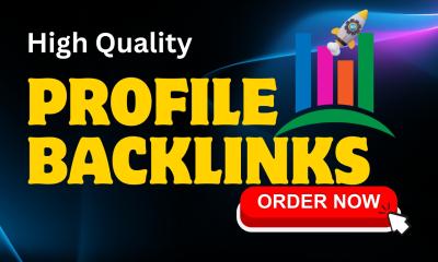 I will manually build 100 high DA profile backlinks for fast Google ranking