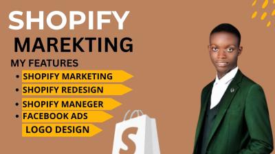I will setup TikTok Shop, Facebook & Instagram Shop, Shopify Dropshipping Marketing