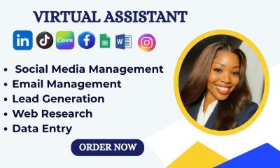 I Will Be Your Personal Virtual Assistant and Social Media Manager / Admin Assistant