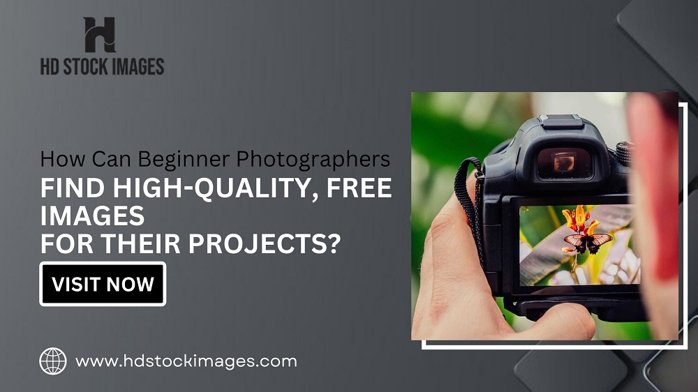 How Can Beginner Photographers Find High-Quality, Free Images for Their Projects?