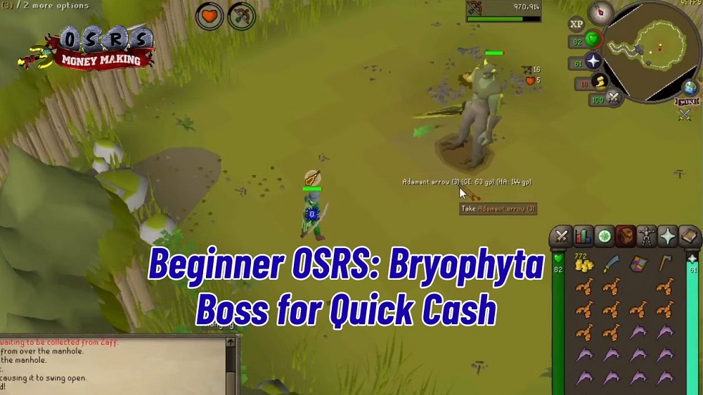 Beginner-Friendly OSRS Money Making: Bryophyta Boss Runs for Quick Cash