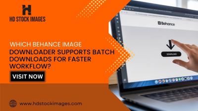 Which Behance Image Downloader Supports Batch Downloads for Faster Workflow?