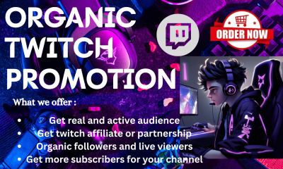 I will boost Twitch live viewers, Twitch affiliate, chatters for your Twitch channel
