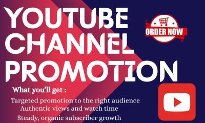 I Will Do YouTube SEO and Channel Promotion for Organic Audience Growth
