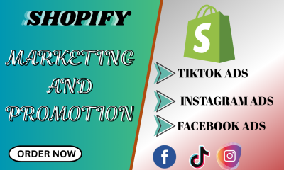 I will uplift Shopify store sales Ecommerce dropshipping marketing Shopify promotion