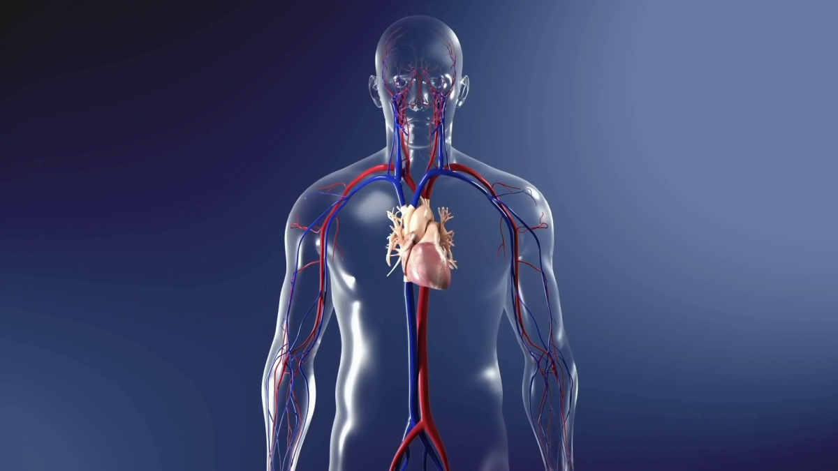 I will create realistic 3D medical animation, 3D surgery animation, and 3D animation videos