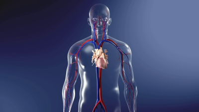 I will create realistic 3D medical animation, 3D surgery animation, and 3D animation videos