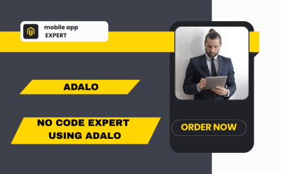 I will setup Airtable Database, Softr Webapp, Airtable Automation, Interface & Portal Expert