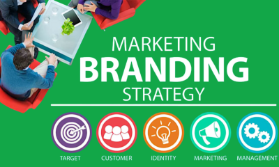 I will create a profitable marketing strategy and brand strategy