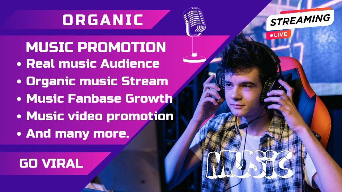 I Will Do Bosterize Setup and Run Viral Music Ad Promotion for Spotify & SoundCloud Music