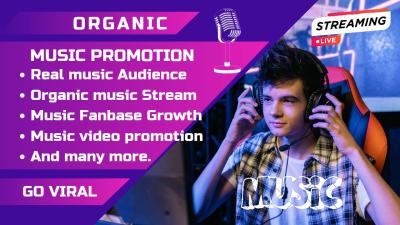 I Will Do Bosterize Setup and Run Viral Music Ad Promotion for Spotify & SoundCloud Music