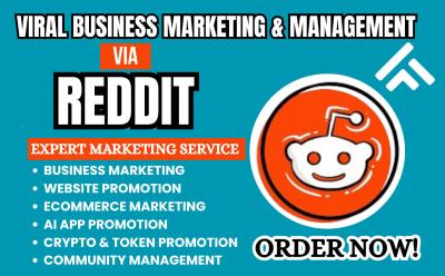 I will do Reddit Post Ads Management to Boost Business, Ecommerce, AI Website, or Crypto