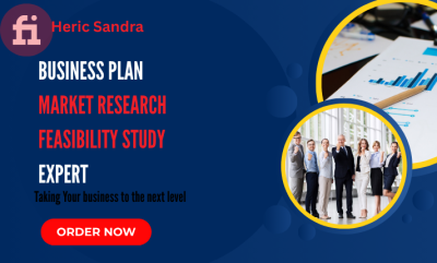 I Will Create Investor Ready Business Plans, Market Research, and Feasibility Study