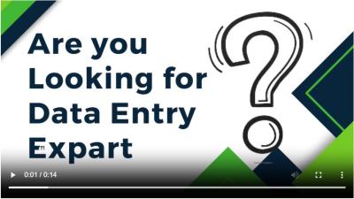 I will fast and reliable data entry services for your business