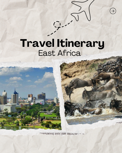 I Will Plan Your Luxury Safari, Honeymoon, or Group Trip