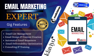 I will create high converting Klaviyo email marketing and automation flow setup