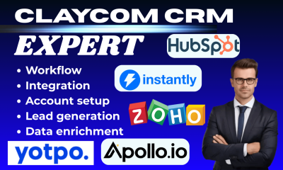 I will setup Claycom Automation, HubSpot CRM, Yotpo SMS, Apollo.io, and Instantly AI