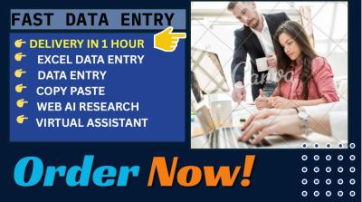 FAST DATA ENTRY EXCEL DATA ENTRY WEB AI RESEARCHING FAST TYPING