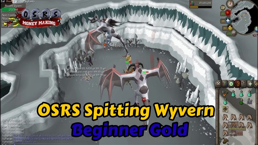 OSRS Spitting Wyvern Beginner Gold Farming Tips