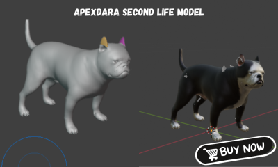 I will design custom 3D Second Life character, clothing, and animal model with Bento rig