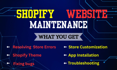 Boost Your Website Maintenance & Shopify Store Performance
