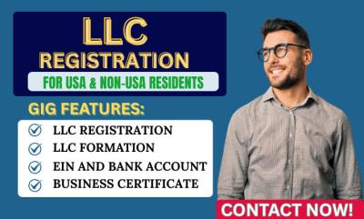 I will us llc formation, llc registration new mexico state, US llc montana state