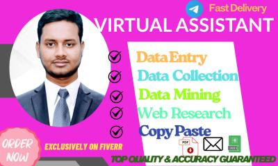 I will do professional data entry, excel, and admin support