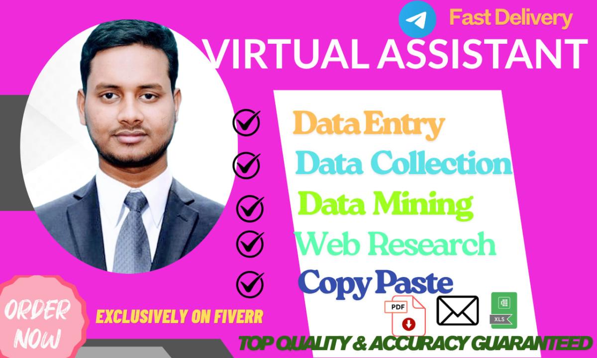 I will be your virtual assistant for data entry, data mining, typing and web research