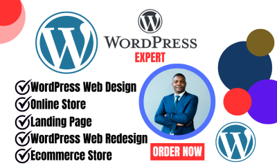 I will build wordpress website development and website redesign