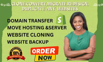 I will design redesign copy clone duplicate shopify dropshipping store shopify website