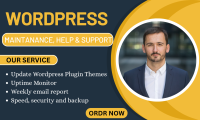 I will provide professional wordpress website maintenance support and updates