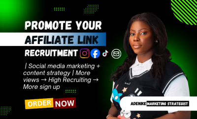 I will recruit targeted affiliates to grow your affiliate program and sales