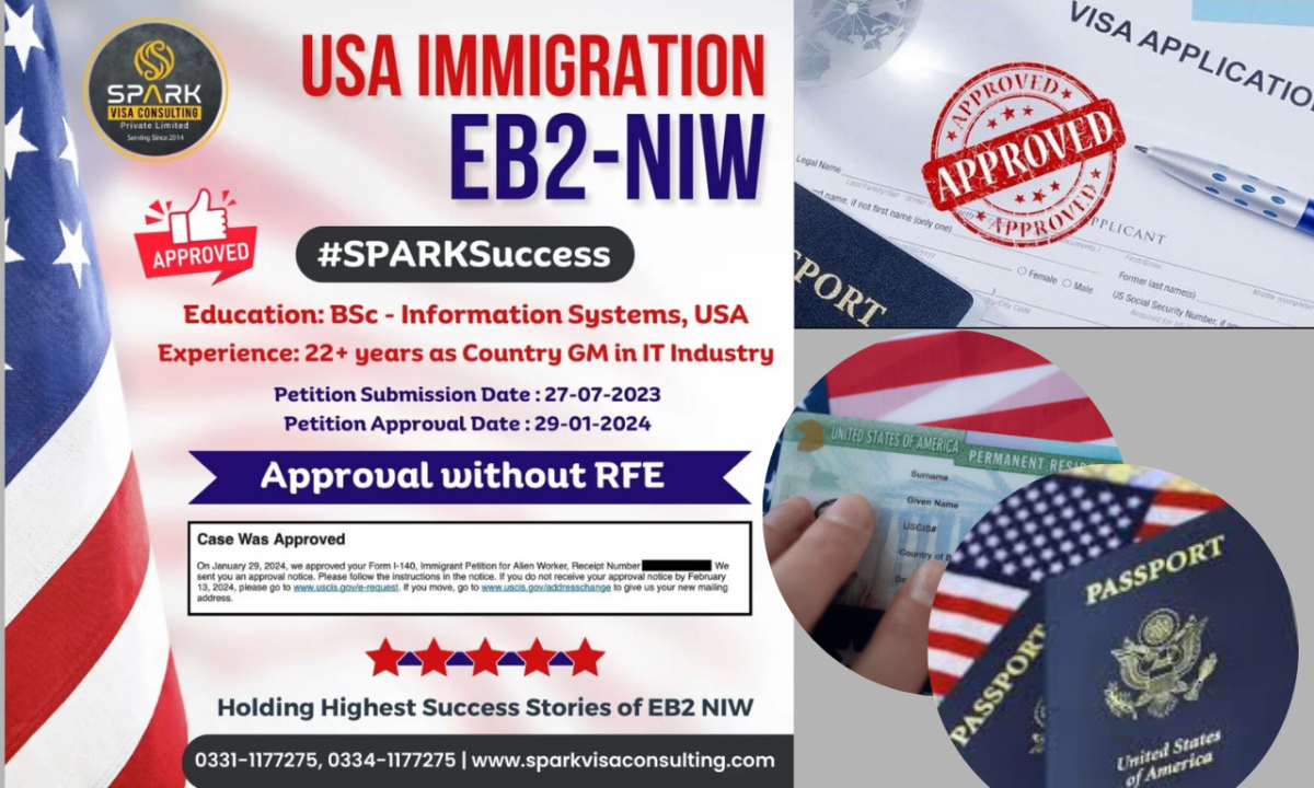 I will write a professional eb2 niw business plan l1 e2 visa plan for uscis immigration