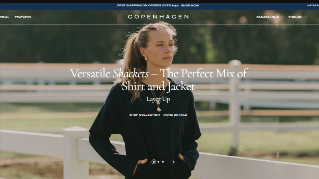 I will redesign shopify website design shopify store redesign shopify website redesign