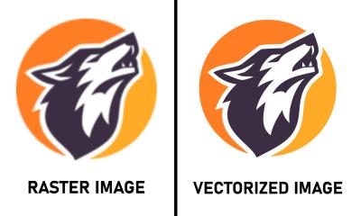 I Will Manually Vector Trace, Redraw Your Logo or Image Extra Fast