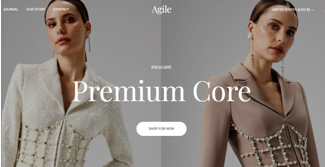 I will do Shopify fashion store, clothing website, fashion website, boutique website