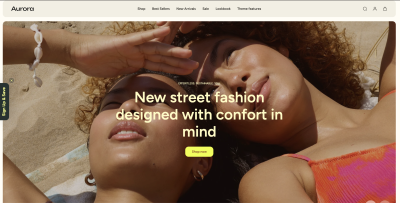 I will build Shopify multi vendor website create Shopify multi vendor ecommerce website