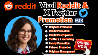 I will do Reddit, Twitter Promotion for AI Fanvue, Fansly, OnlyFans Subscribers & Chatter Manager