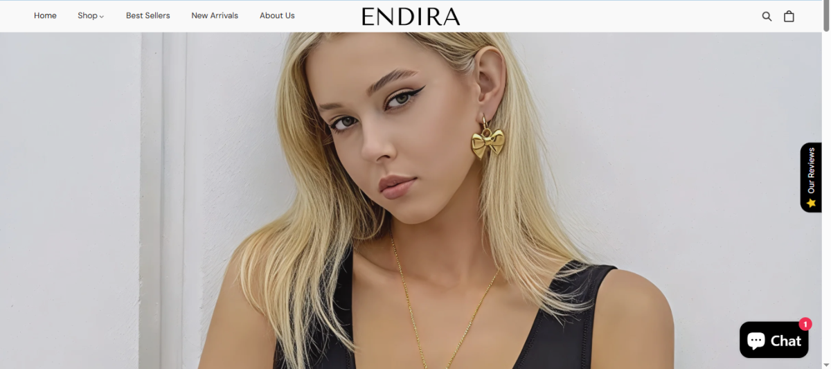 Build Shopify Store Design