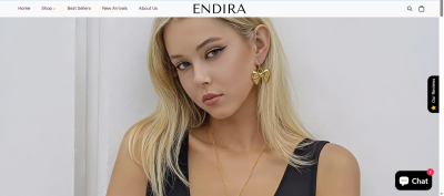 Build Shopify Store Design
