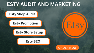 Your Etsy Shop Link (Required) | Shop Niche or Main Product Category | Listings to Review (Optional) | Your Goals & Competitors