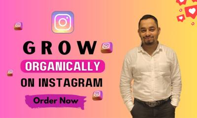 I Will Teach You How to Grow Your Instagram Organically