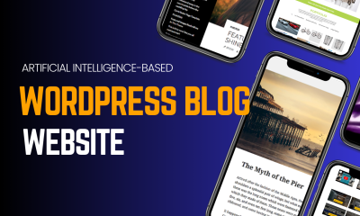I Will Design and Develop a WordPress Blog Website