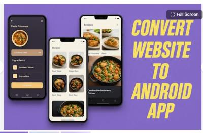I will redesign website to app WordPress app WebView WebView app PWA Android Studio